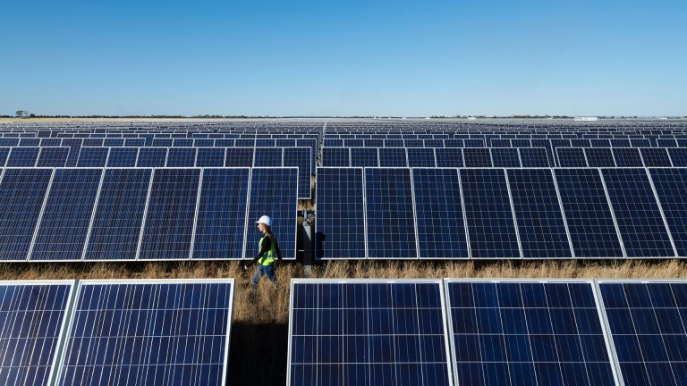 photo tall annual report shareholder review sustainability moree solar landscape sally bell 2018 09 01