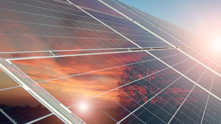 solar tree thought leadership tall